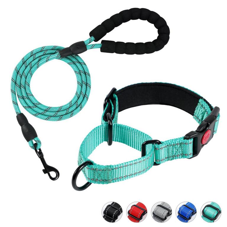 DUCKYGOO DOG COLLAR SET