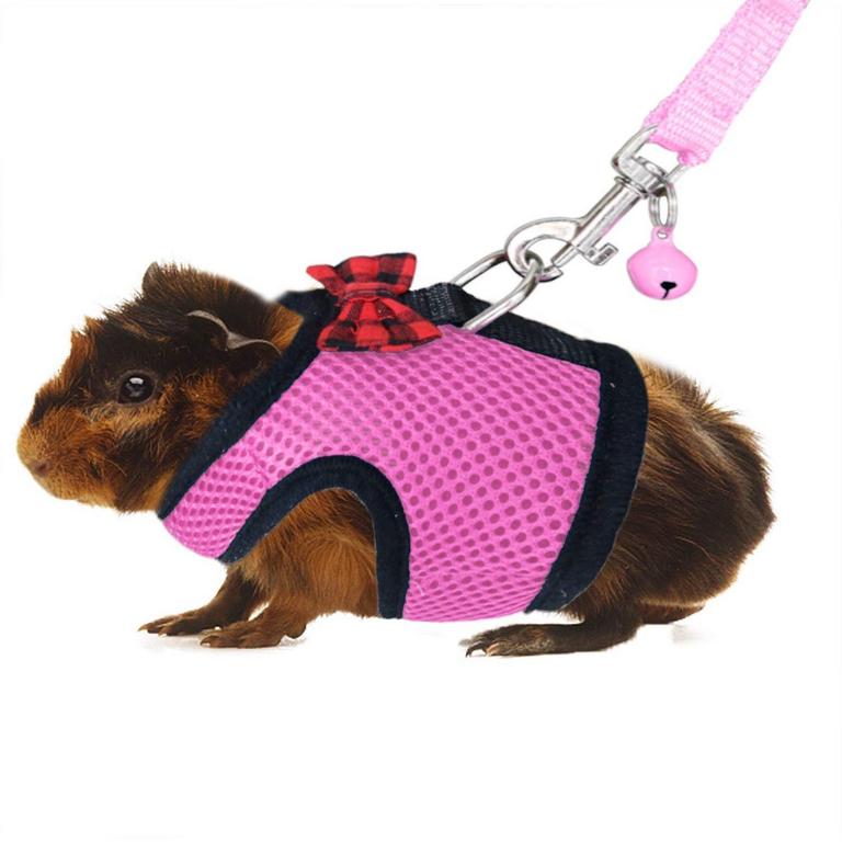 RYPET GUINEA PIG HARNESS