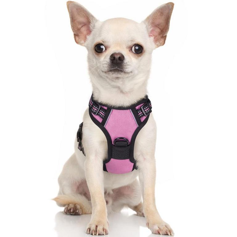 RABBITGOO DOG HARNESS XS