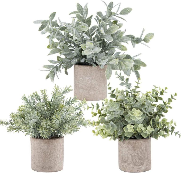 DER ROSE EUCALYPTUS TOPIARIES