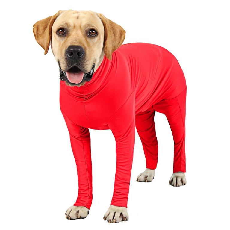 ETDANE DOG ONESIE