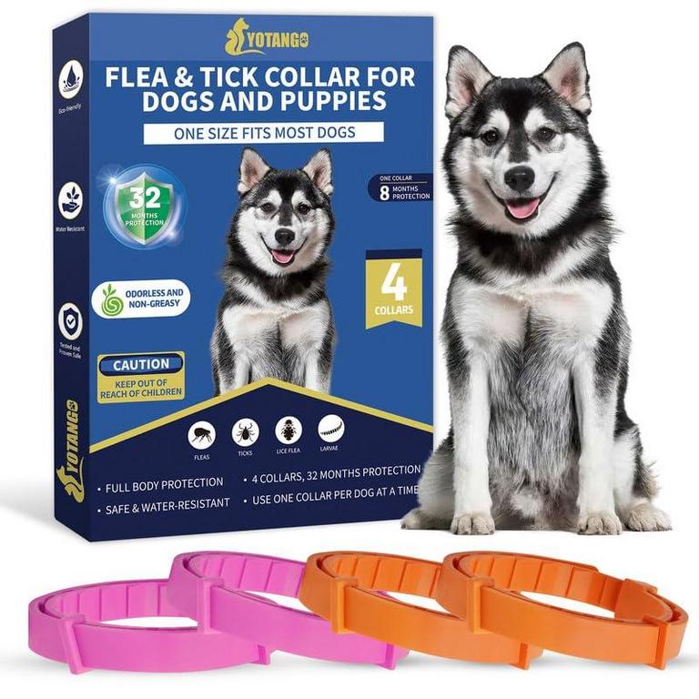 YOTANGO 4PK DOG COLLARS