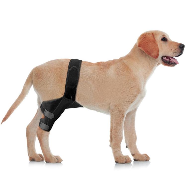 DOG KNEE BRACE