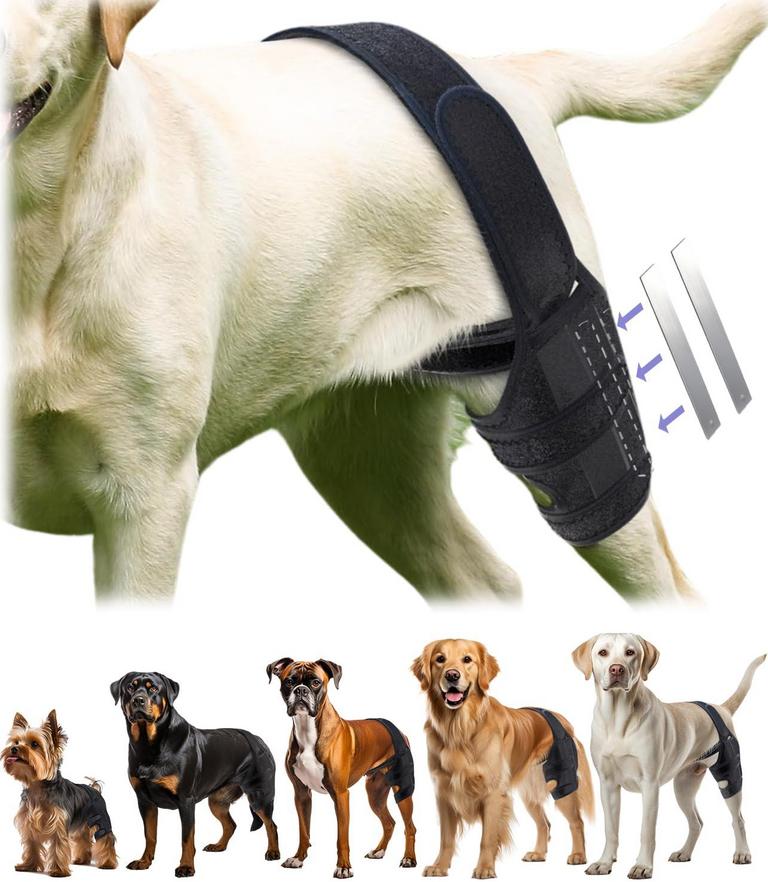 BIXIE DOG KNEE BRACE M