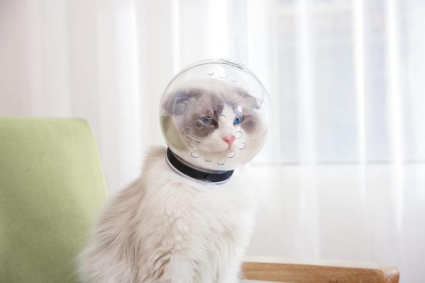 JINGMEZHI CAT MUZZLE