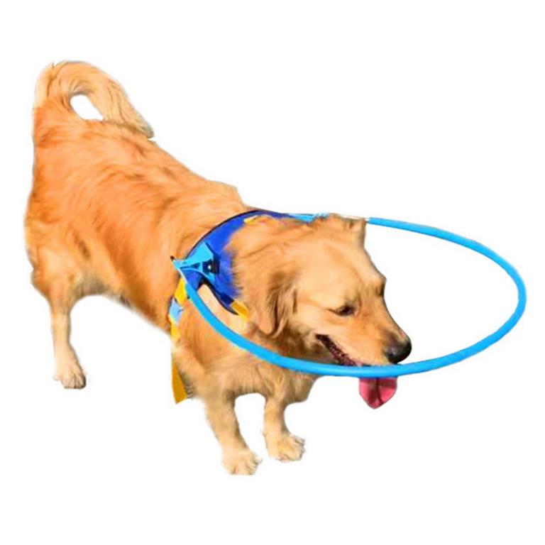 CAMIDY BLIND DOG HARNESS