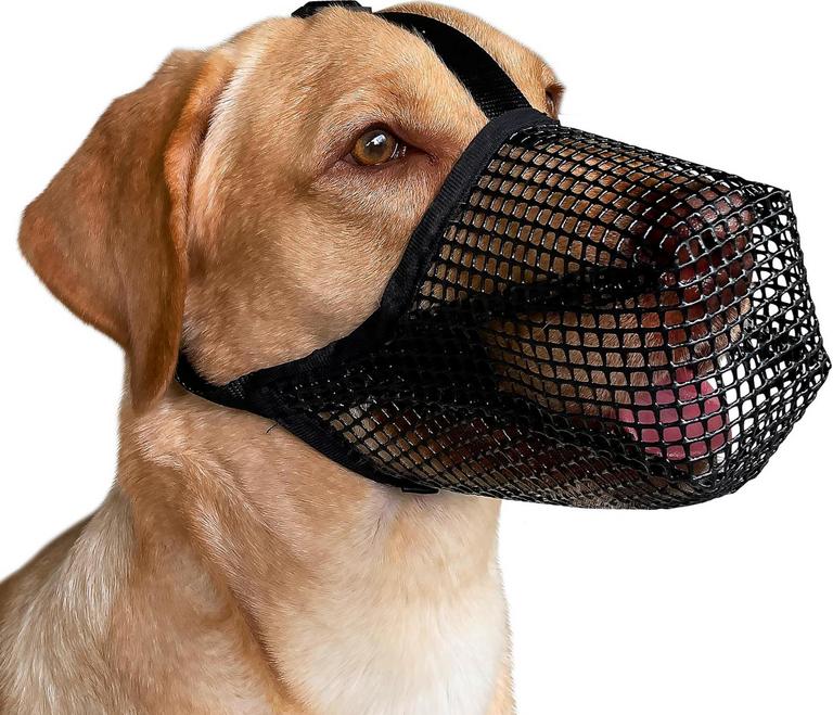 MAYERZON DOG MUZZLE