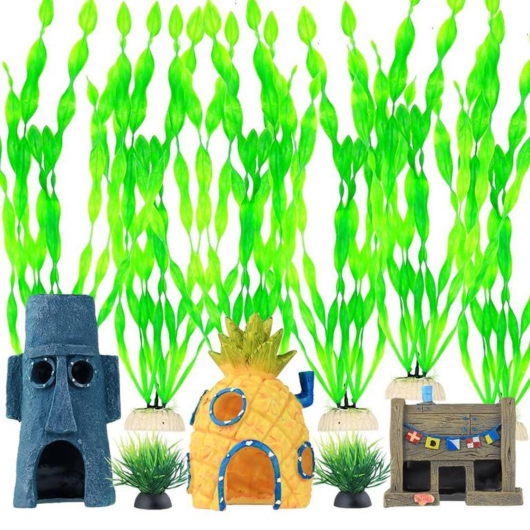 BEGONDIS AQUARIUM PLANTS