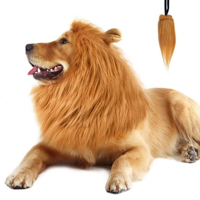 CPPSLEE DOG LION MANE COSTUME
