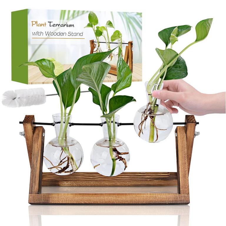 PLANT PROPAGATION STATION
