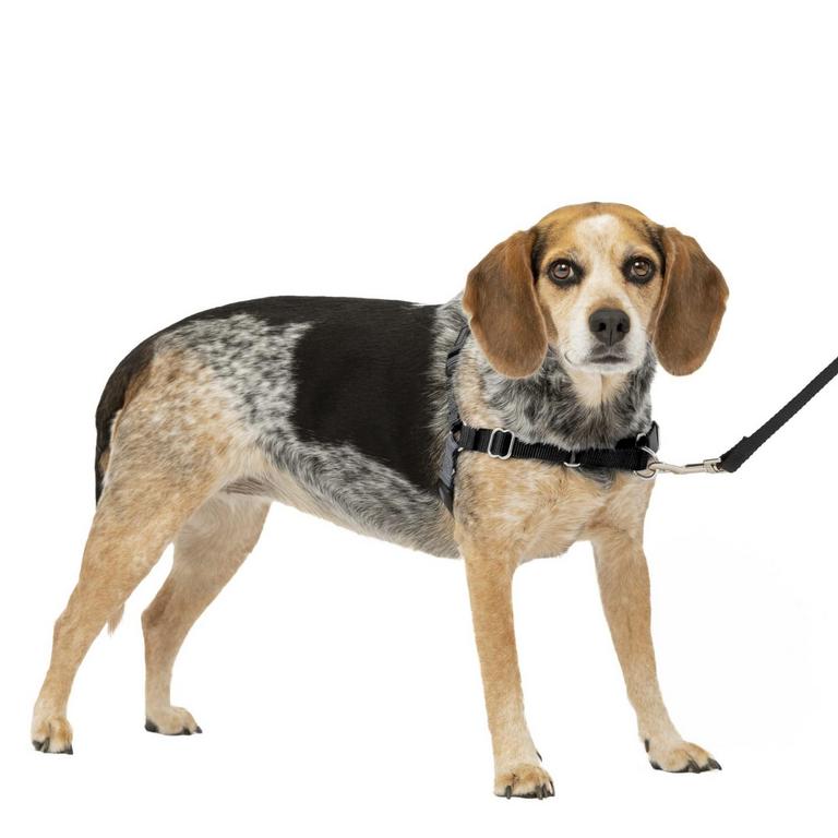 PETSAFE NO-PULL HARNESS