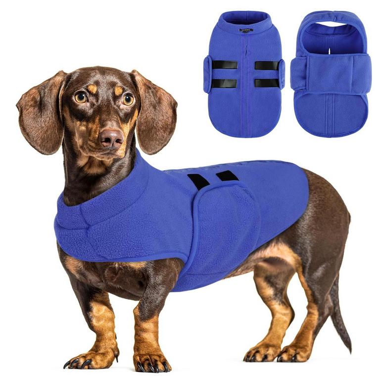 QUEENMORE DOG SWEATER L