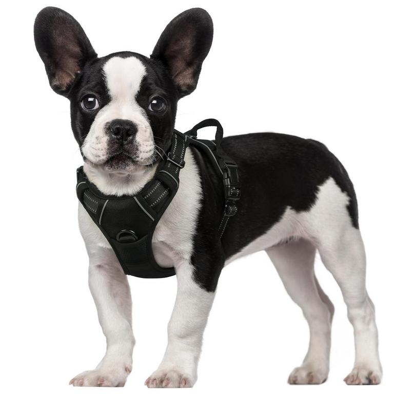 RABBITGOO DOG HARNESS S
