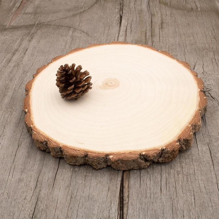SENMUT WOOD SLICES