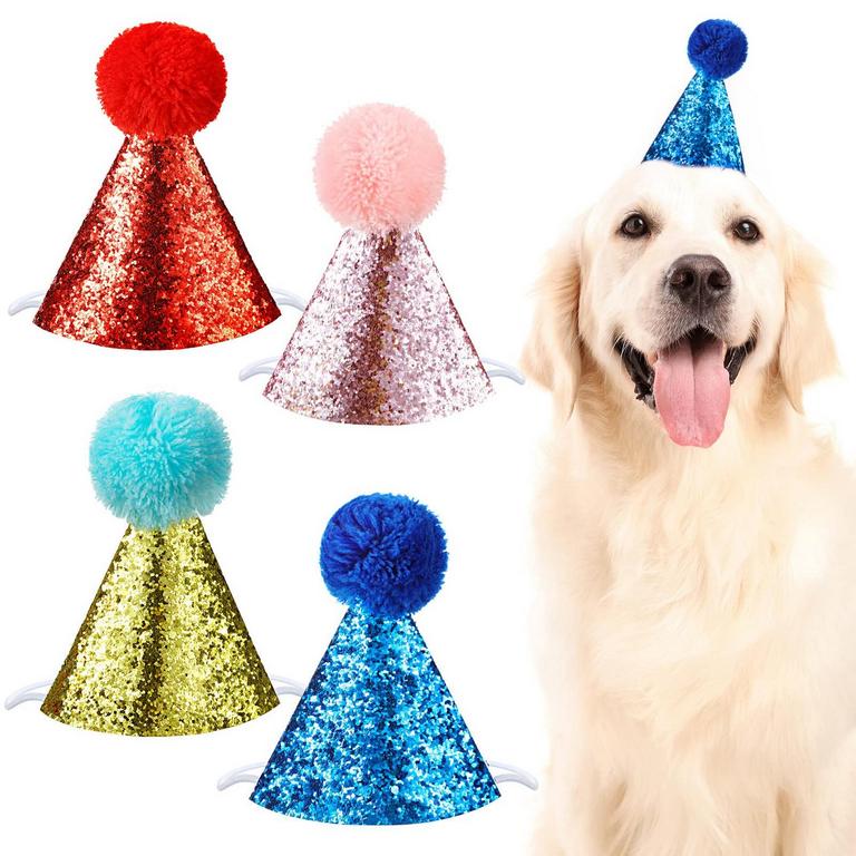 FD-FRIEN 5IN PET PARTY HATS