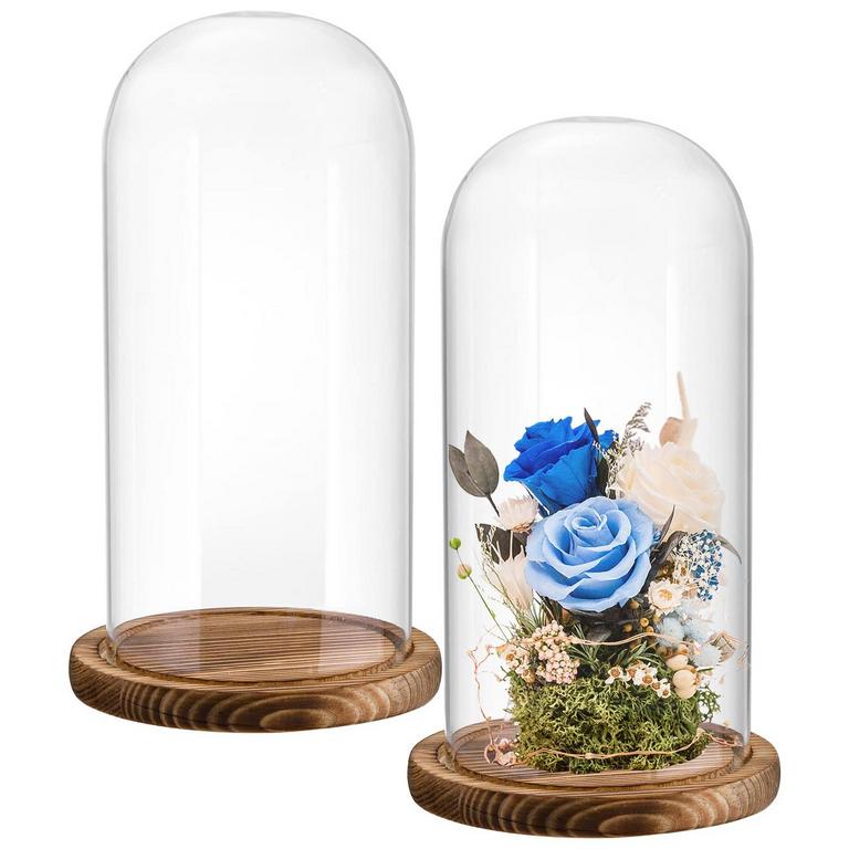 2PK GLASS CLOCHE DOME