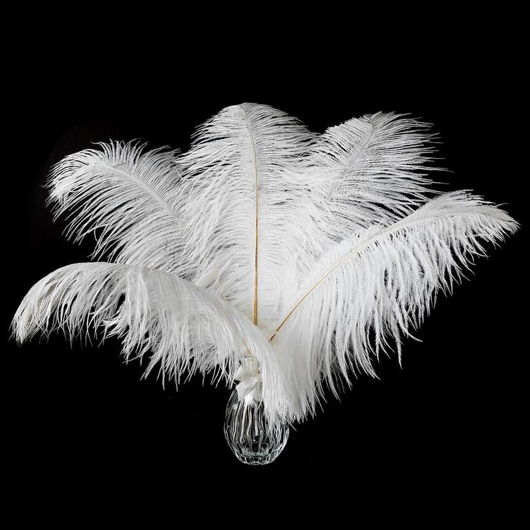 SOUL GUARDIAN OSTRICH FEATHERS