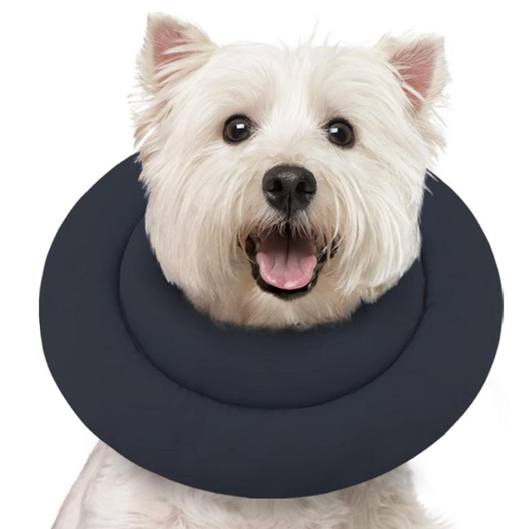 DOG RECOVERY COLLAR