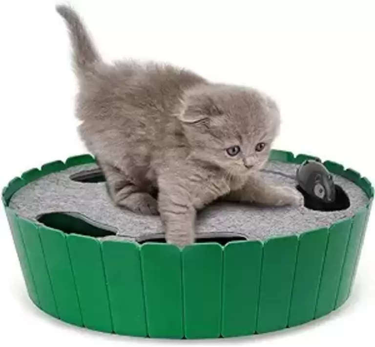 PAWABOO CAT TOY