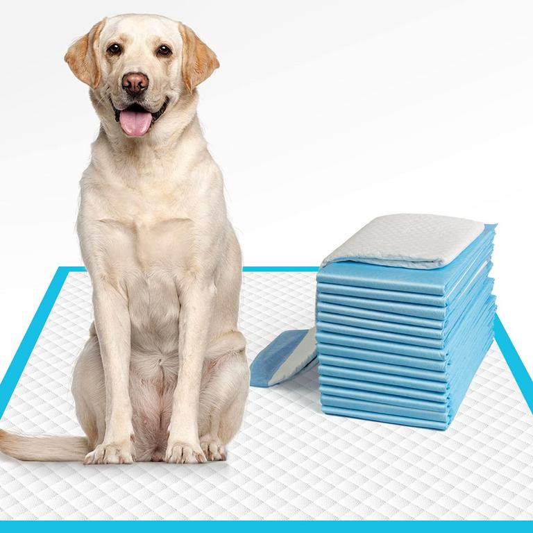 IMMCUTE XL DOG PEE PADS