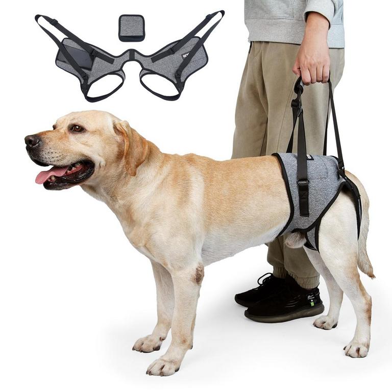 CNEO DOG LIFT HARNESS