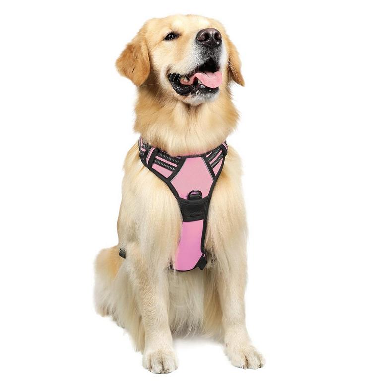RABBITGOO DOG HARNESS L