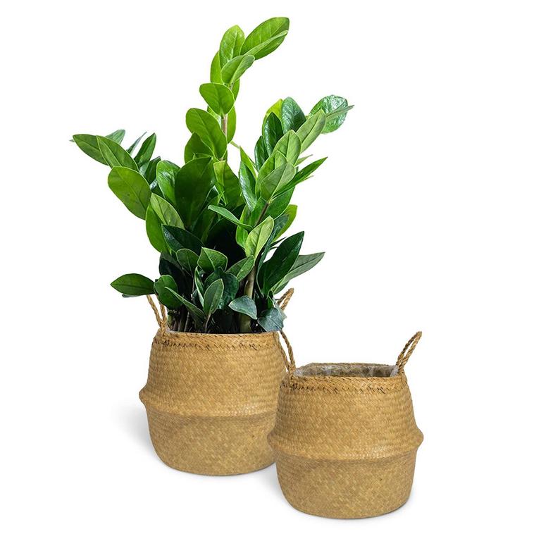 2PK SEAGRASS PLANT BASKETS