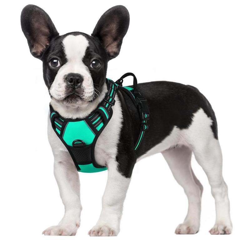 RABBITGOO DOG HARNESS S