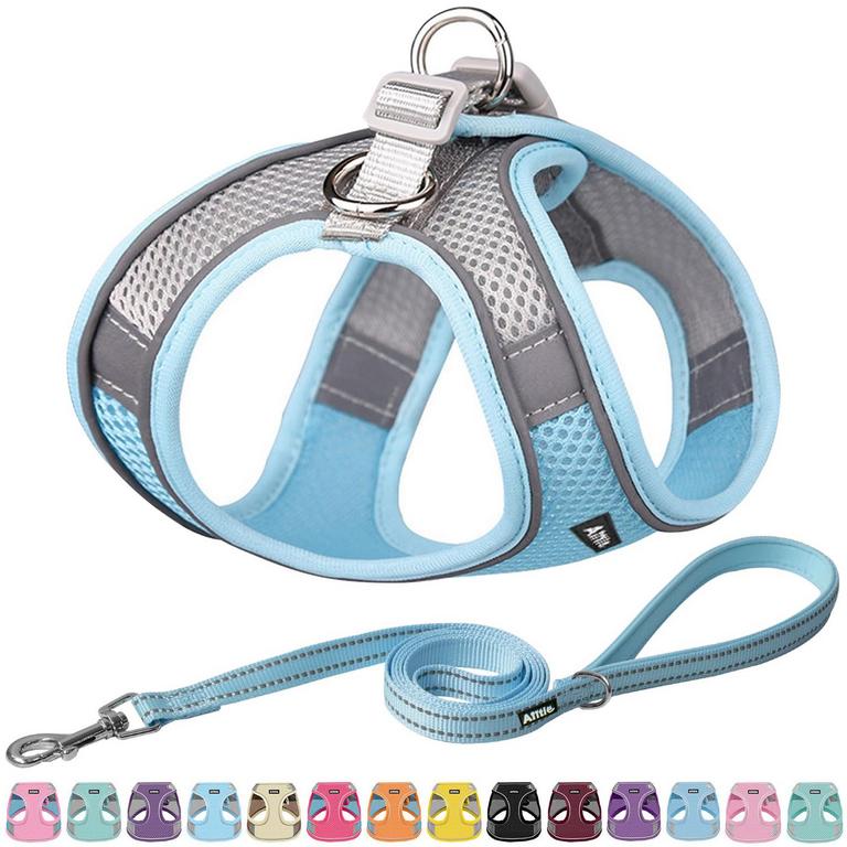 AIITLE DOG HARNESS SET