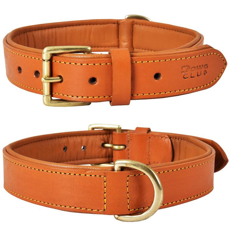 DOWGCLUB LEATHER DOG COLLAR