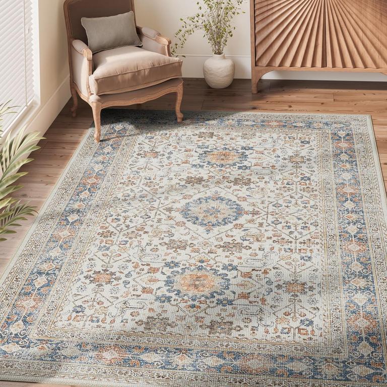 JINCHAN 6'X9' DISTRESSED RUG
