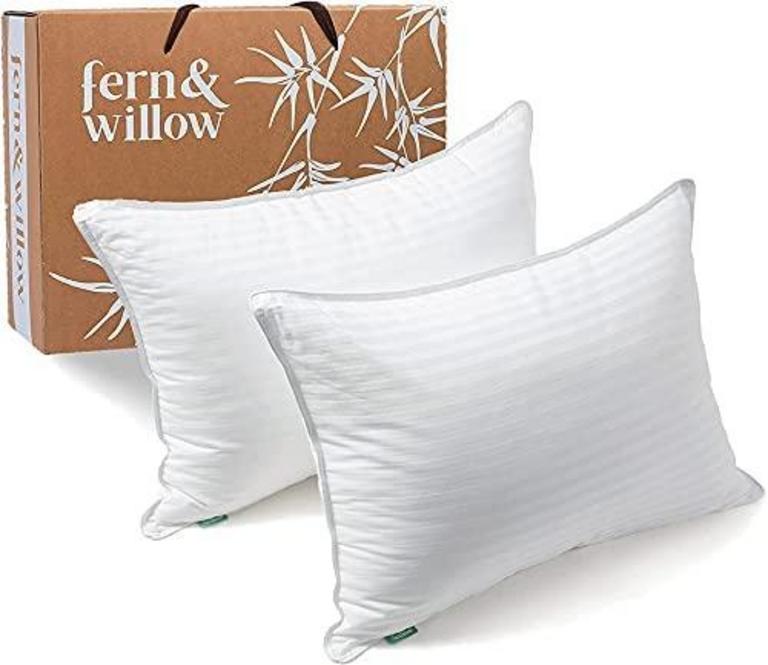 F&W QUEEN PLUSH PILLOWS 2PK