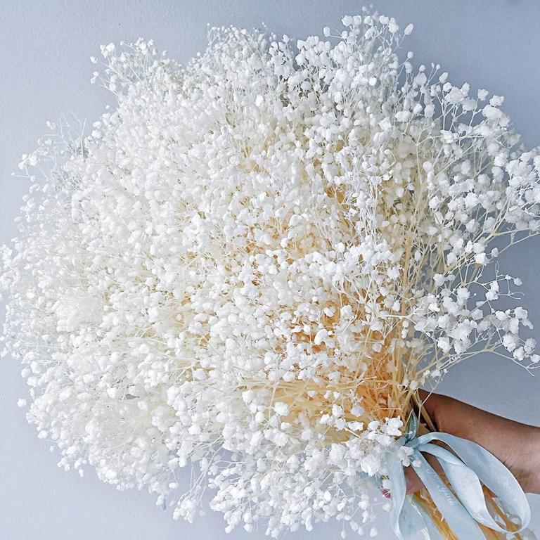 DRIED BABY'S BREATH BOUQUET