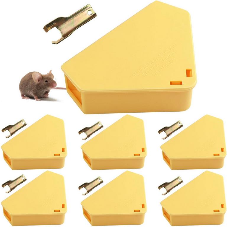 TRIANGLE MOUSE STATIONS