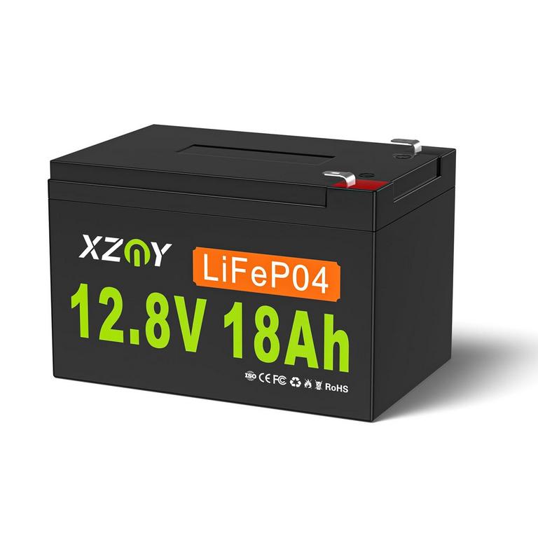 XZNY LIFEP04 BATTERY 12V