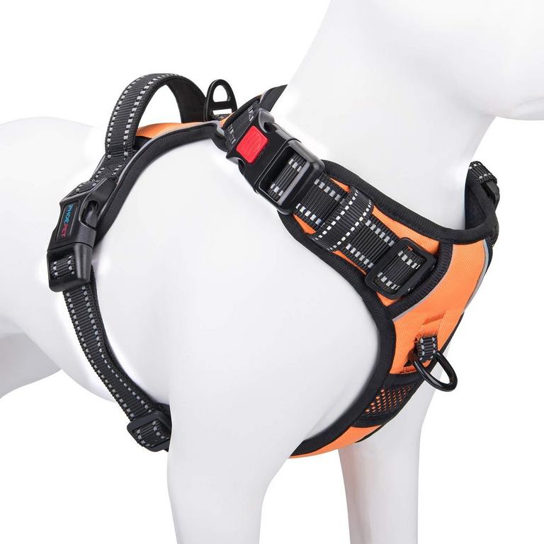 XS PHOEPET DOG HARNESS