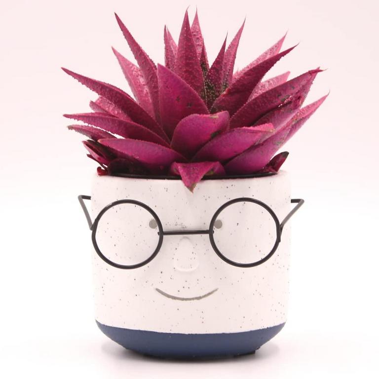 FACE PLANTER POT 4IN