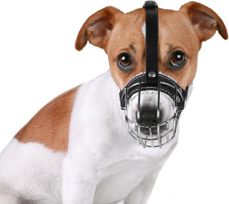 BRONZEDOG DOG MUZZLE