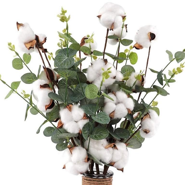 CEWOR COTTON EUCALYPTUS STEMS