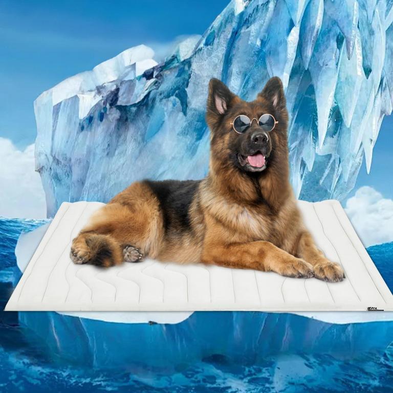 ZONLI DOG COOLING MAT