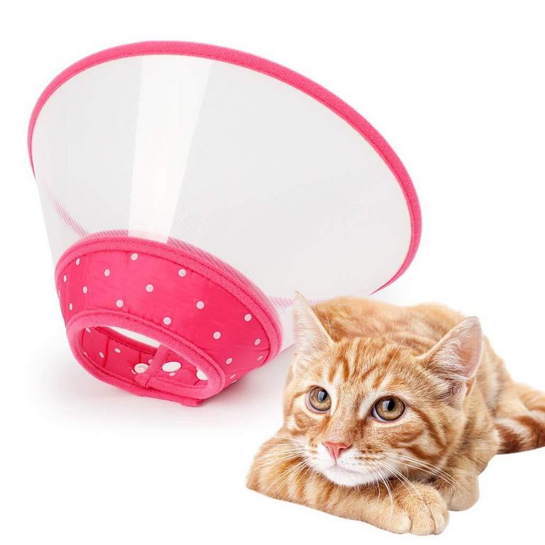 SMALL DOG CONE COLLAR PINK