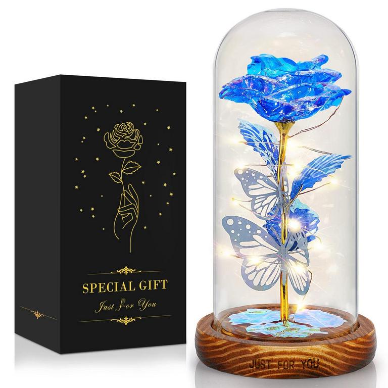 NEWGIFT GALAXY ROSE GIFT