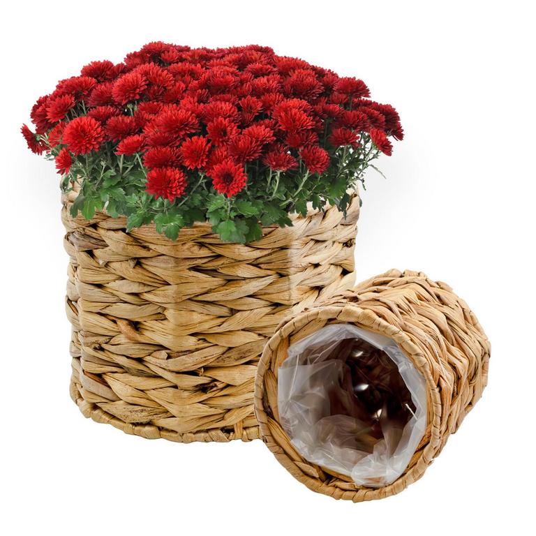 HYACINTH PLANTER BASKETS