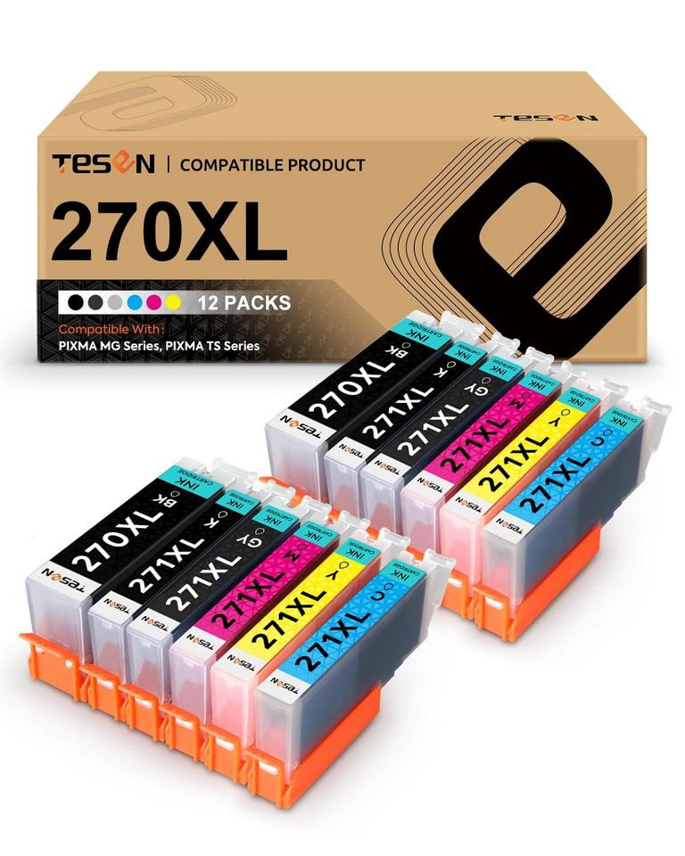 TESEN INK CARTRIDGES 12PK