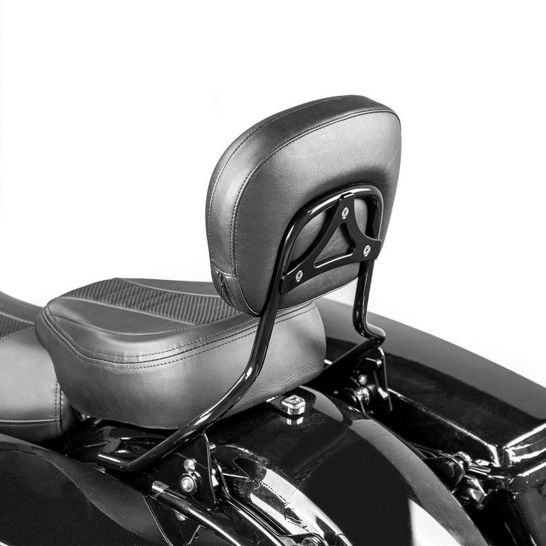 HARLEY SISSY BAR