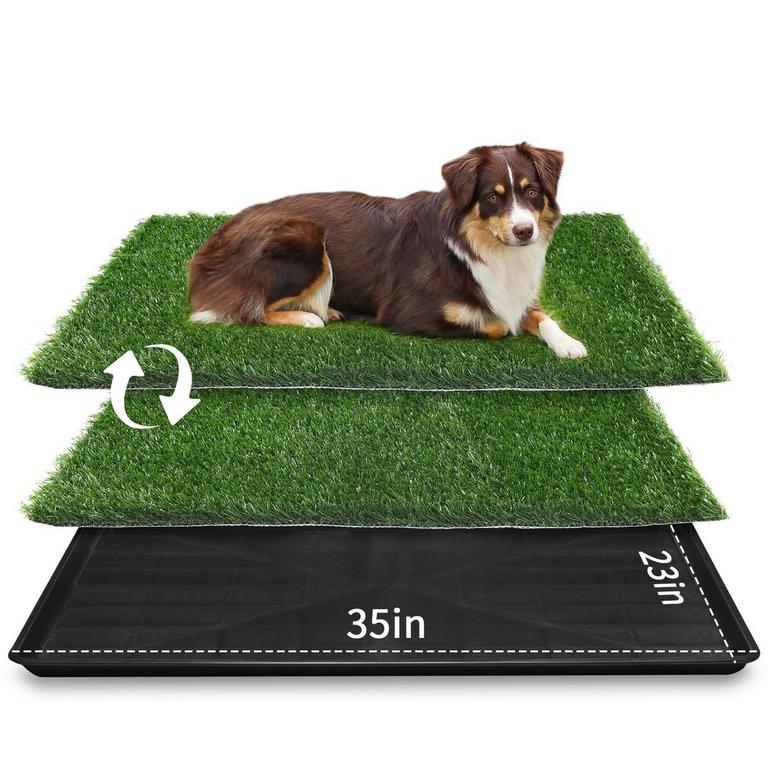 LOOBANI GRASS POTTY TRAY & 2 PADS