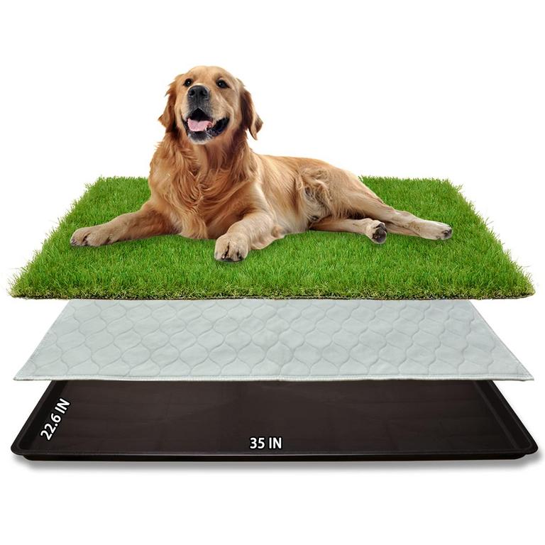 DOG GRASS POTTY LARGE