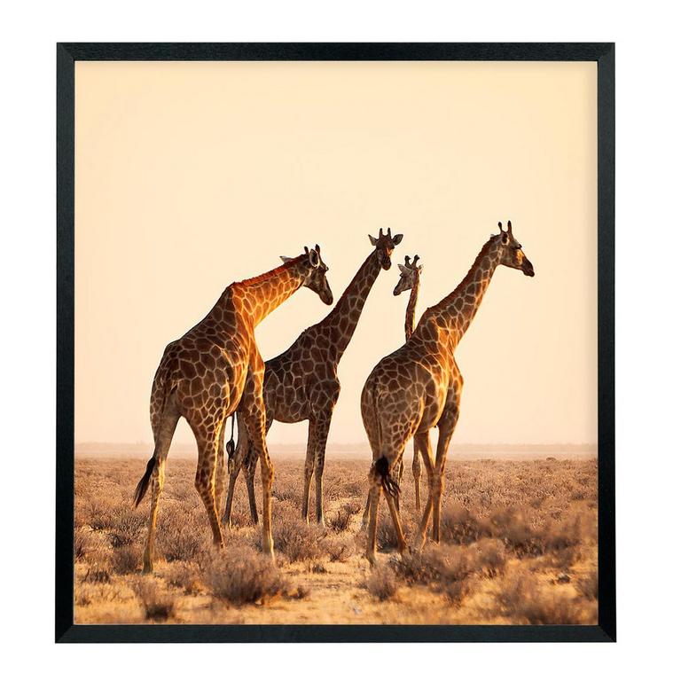 22X24" WOODEN FRAME