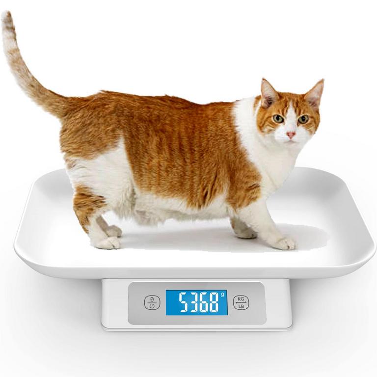 ICARE-PET DIGITAL PET SCALE