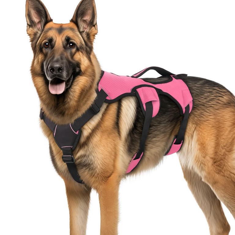 RABBITGOO DOG HARNESS